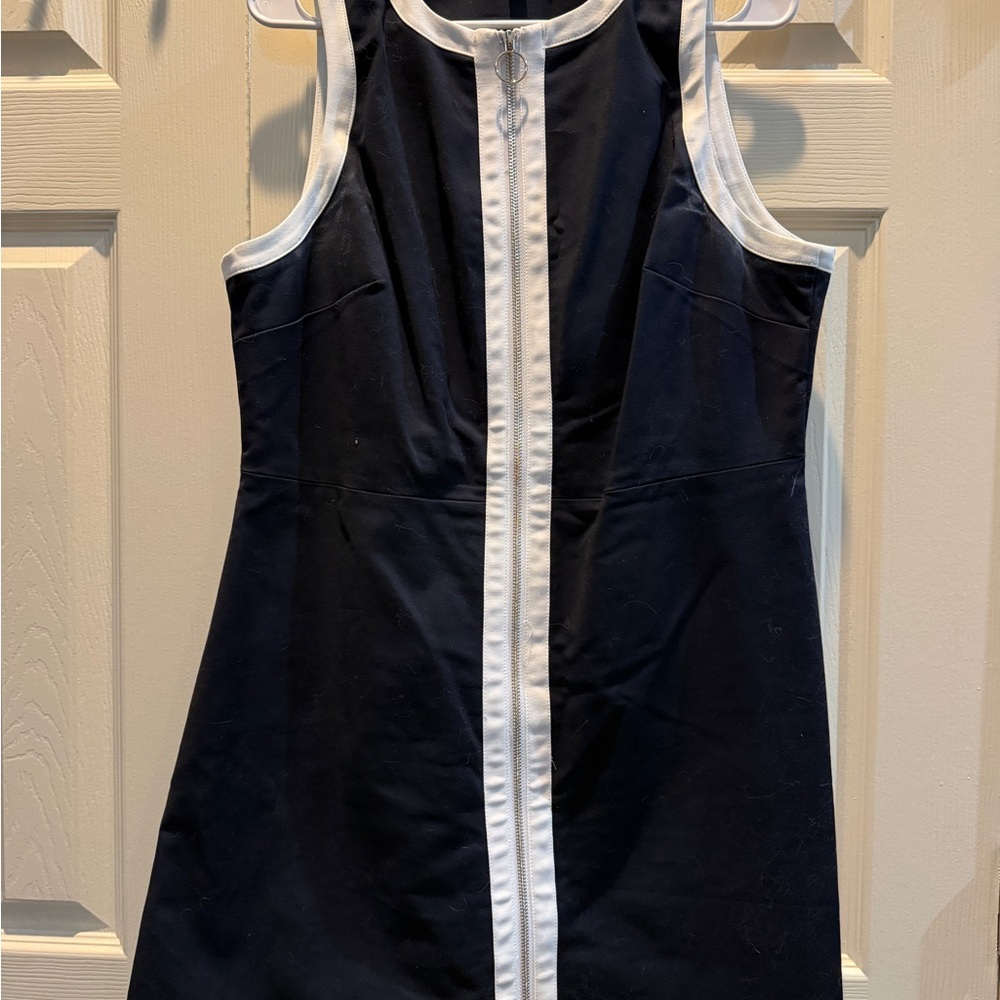 The Limited Black and Cream Dress